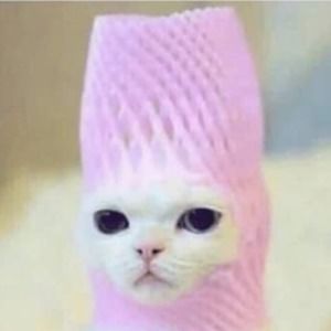 🍍🌴Pineapples and Palm Trees 🍍🌴